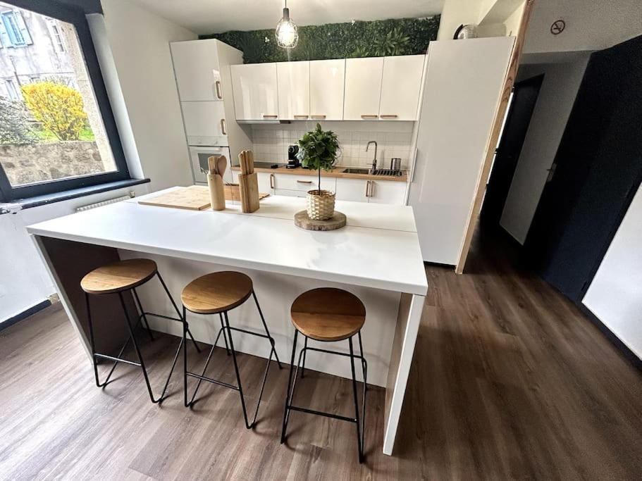 Le Puy En Velay - Appartement Grand Confort Buitenkant foto