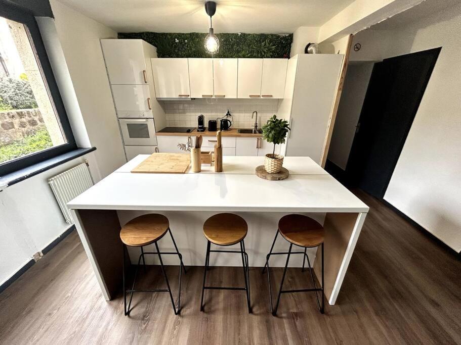 Le Puy En Velay - Appartement Grand Confort Buitenkant foto