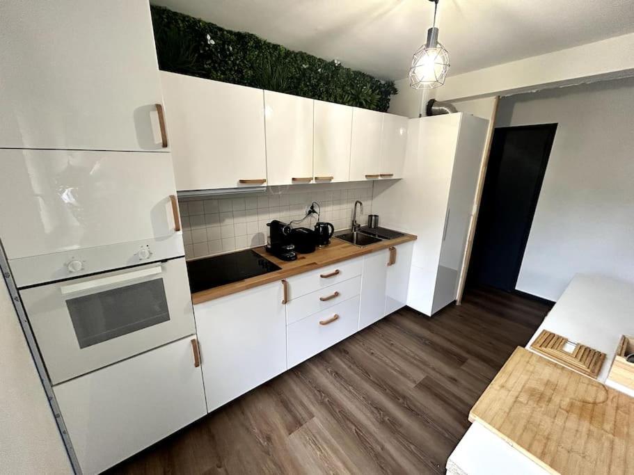 Le Puy En Velay - Appartement Grand Confort Buitenkant foto