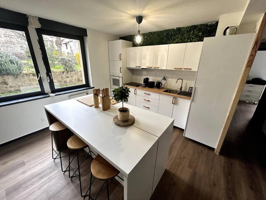 Le Puy En Velay - Appartement Grand Confort Buitenkant foto
